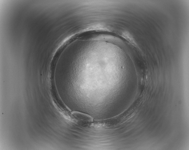 X0000066520440200603171222