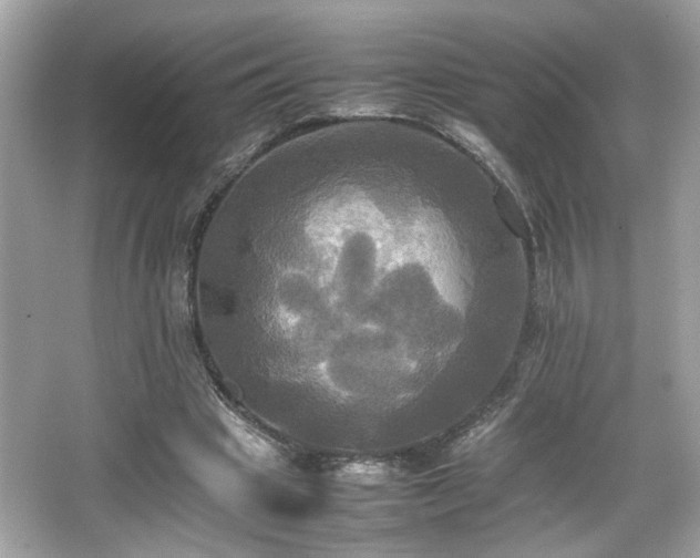 X0000066520441200603171222