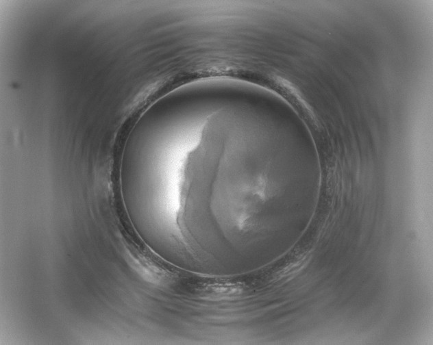 X0000066520443200603171222