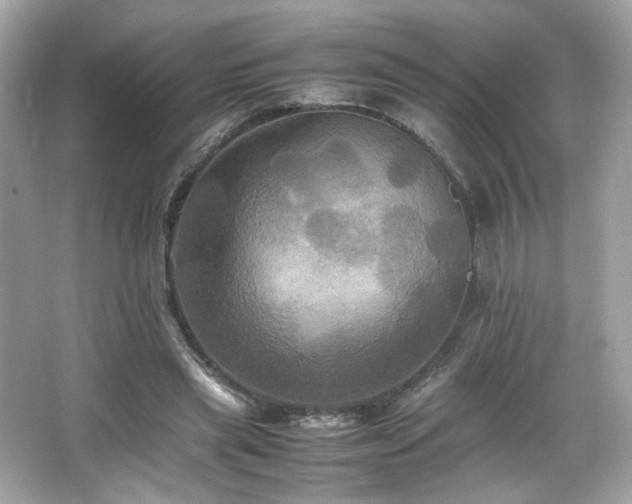 X0000066520445200603171222