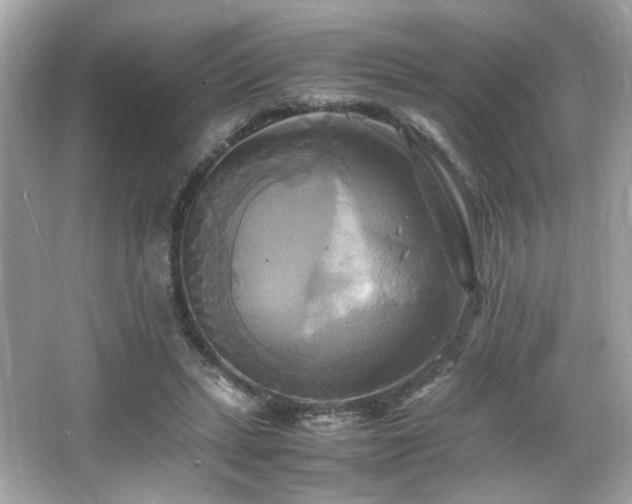 X0000066520447200603171222