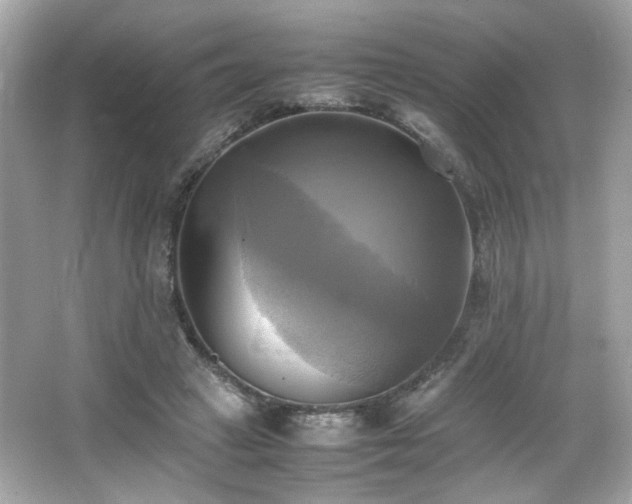 X0000066520449200603171222