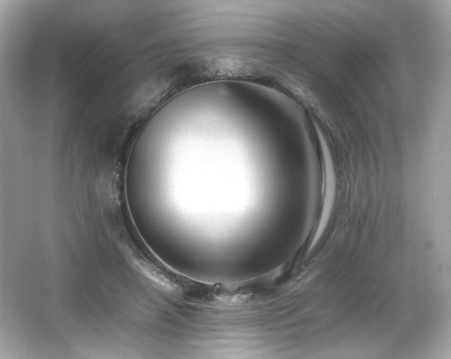 X0000066520450200603171222