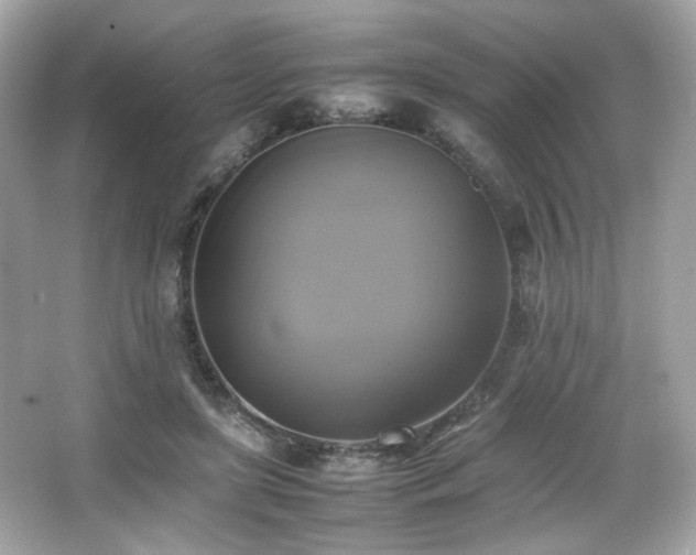 X0000066520451200603171222