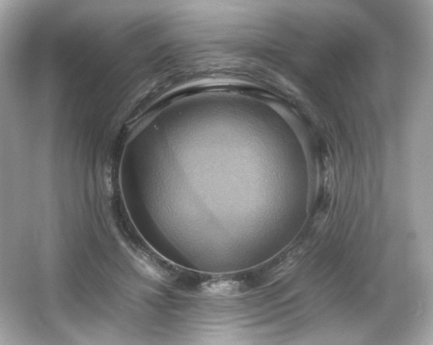 X0000066520452200603171222