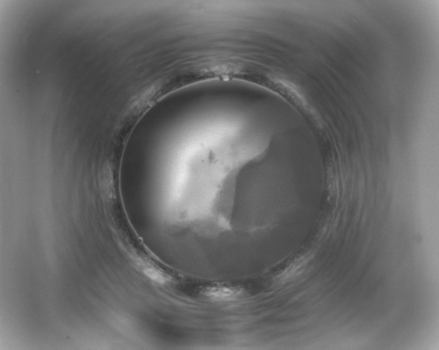 X0000066520453200603171222