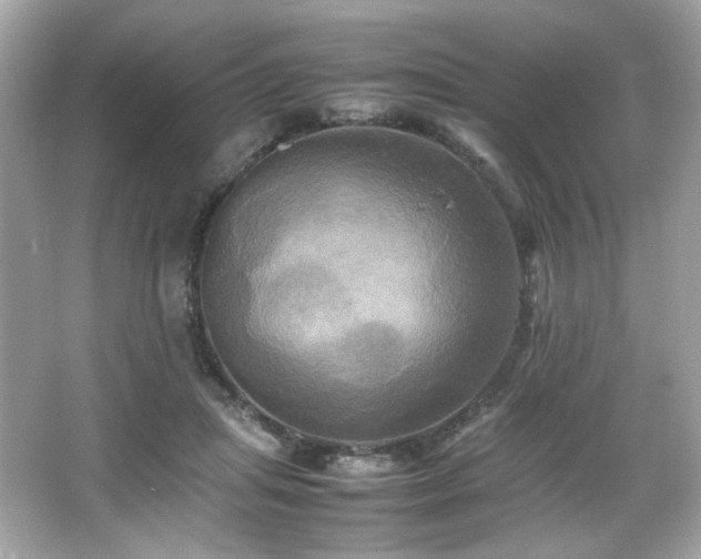 X0000066520455200603171222