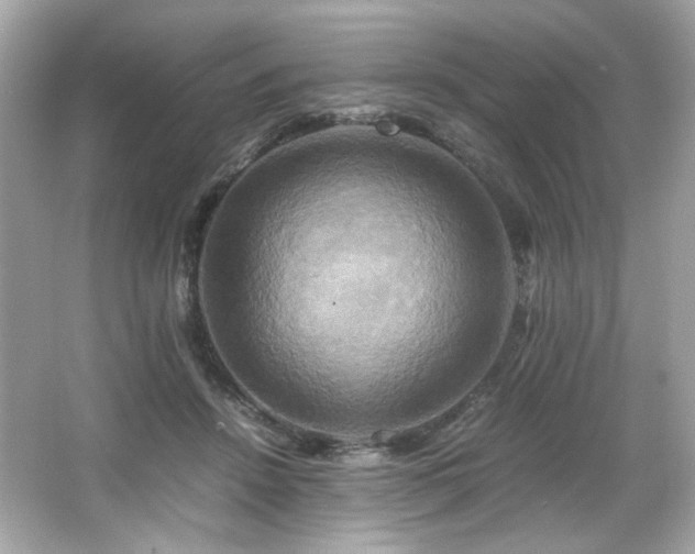 X0000066520456200603171222