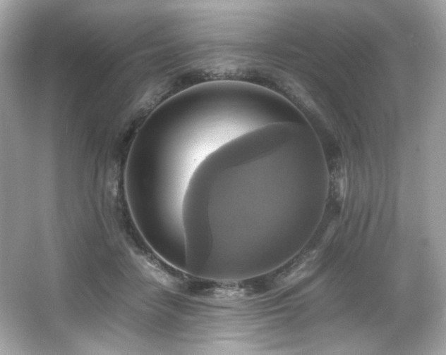 X0000066520458200603171222