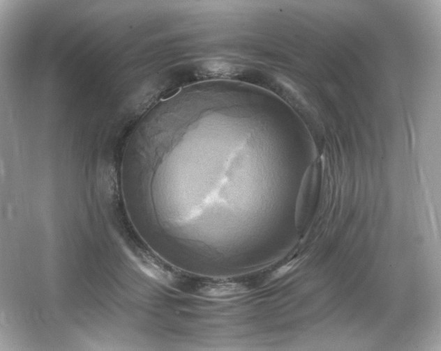 X0000066520459200603171222