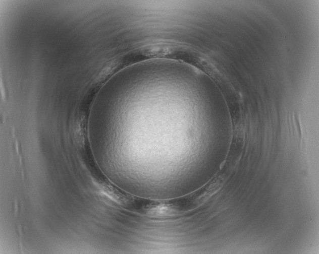 X0000066520460200603171223