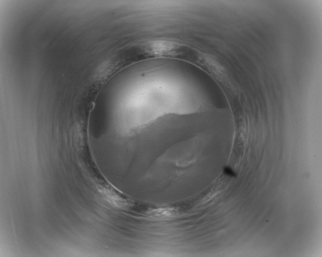 X0000066520461200603171223