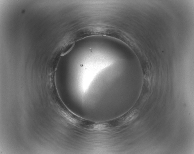 X0000066520462200603171223