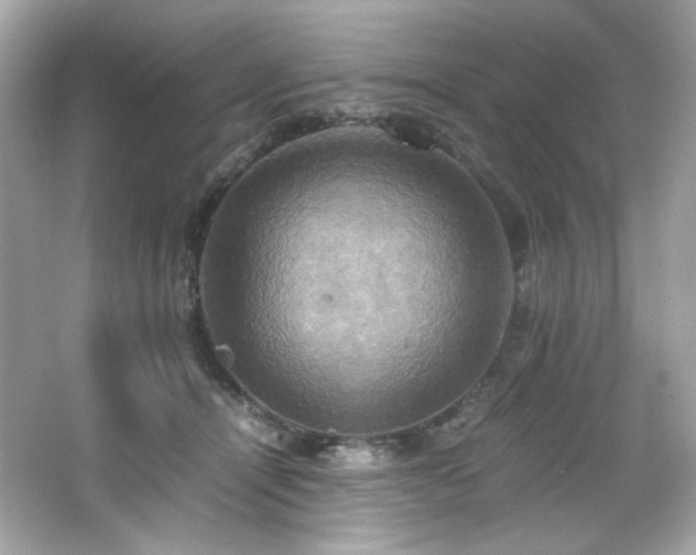 X0000066520464200603171223