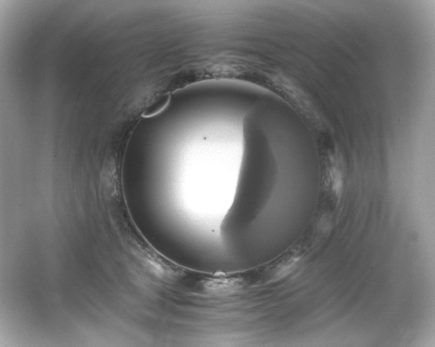 X0000066520465200603171223