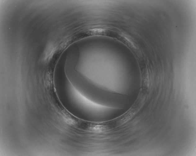 X0000066520467200603171223