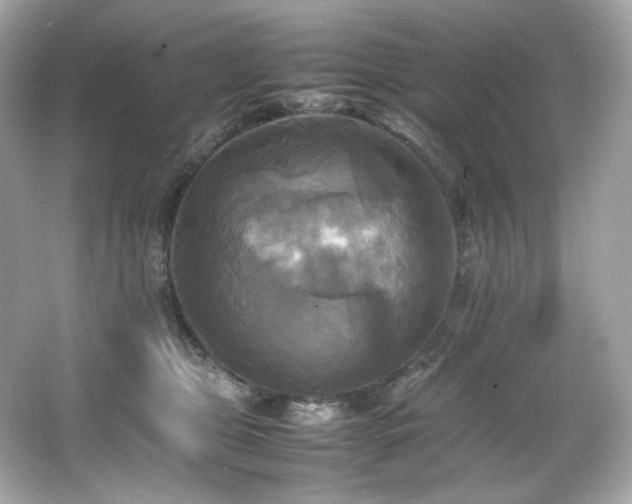 X0000066520469200603171223