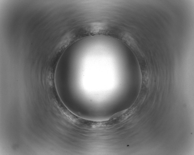 X0000066520470200603171223