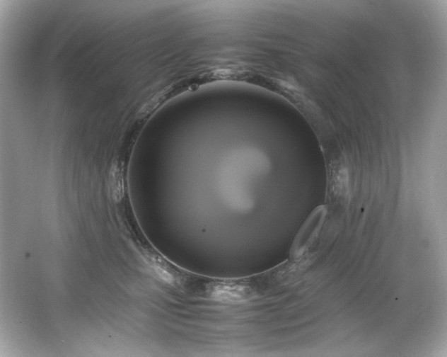 X0000066520471200603171223