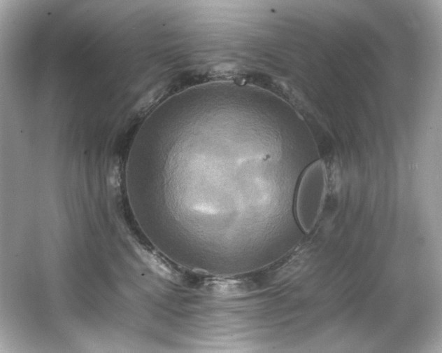 X0000066520472200603171223