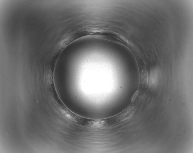 X0000066520474200603171223