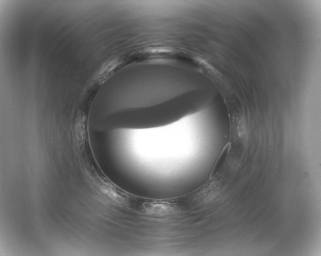 X0000066520475200603171223