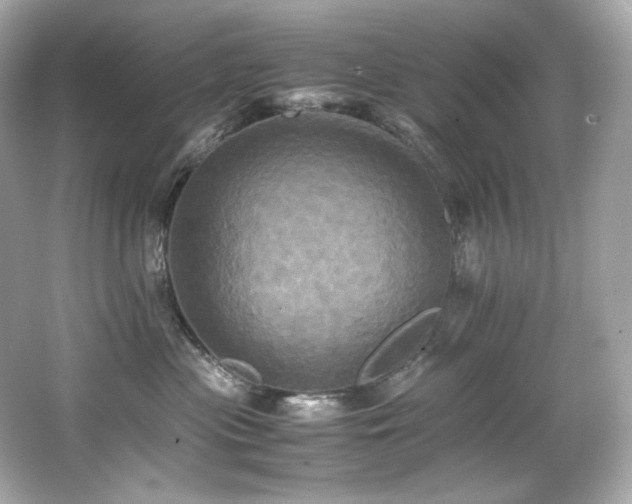 X0000066520477200603171223