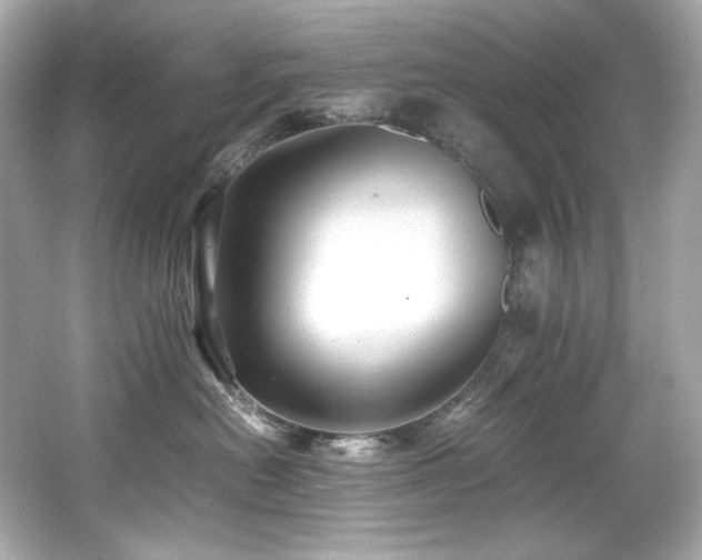 X0000066520478200603171223