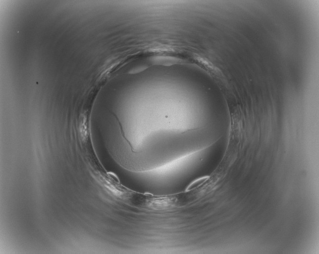 X0000066520479200603171223