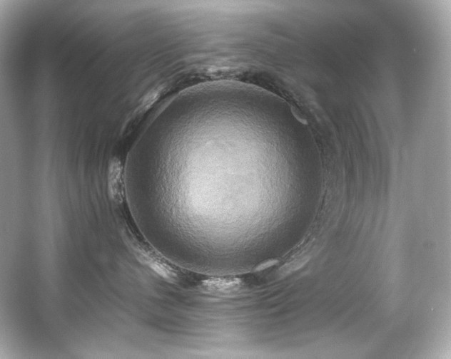 X0000066520480200603171223