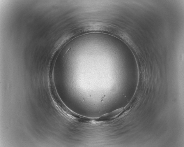 X0000066520482200603171222