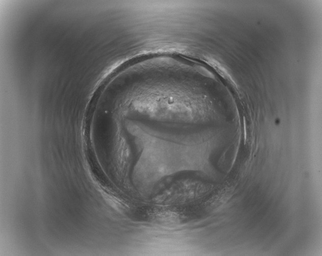 X0000066520483200603171222