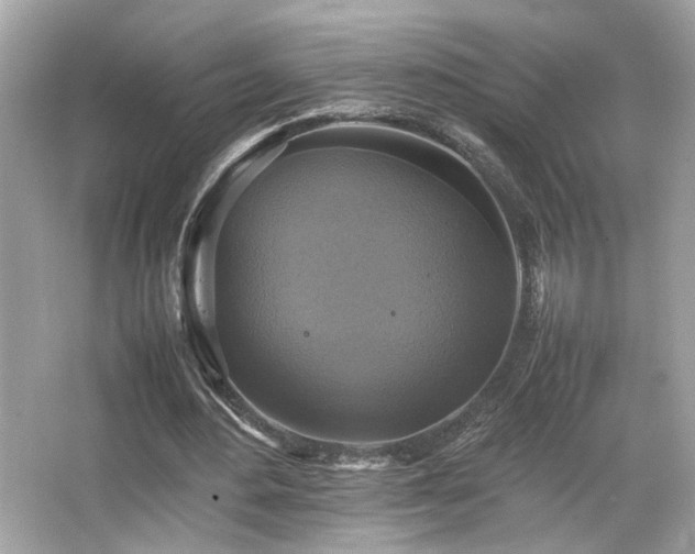 X0000066520484200603171222