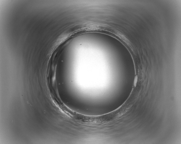 X0000066520485200603171222