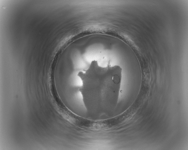 X0000066520487200603171222