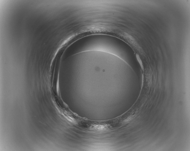 X0000066520488200603171222