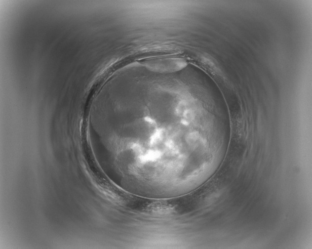 X0000066520491200603171222