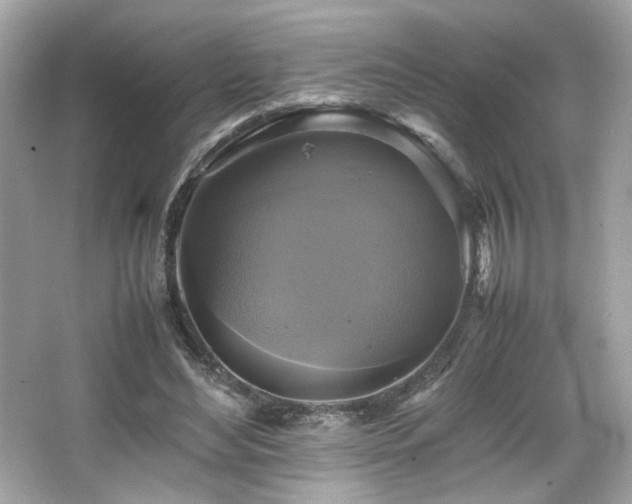 X0000066520492200603171222