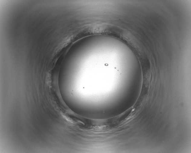 X0000066520497200603171222