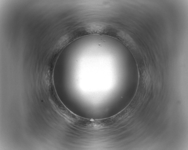 X0000066520498200603171222