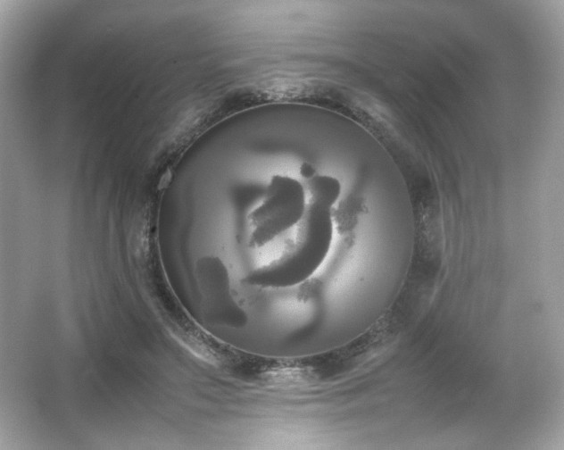 X0000066520499200603171222