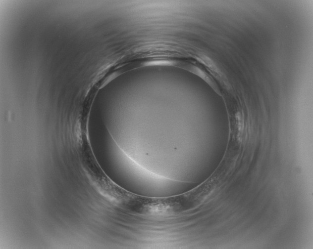 X0000066520500200603171222