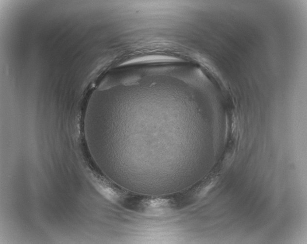 X0000066520501200603171222