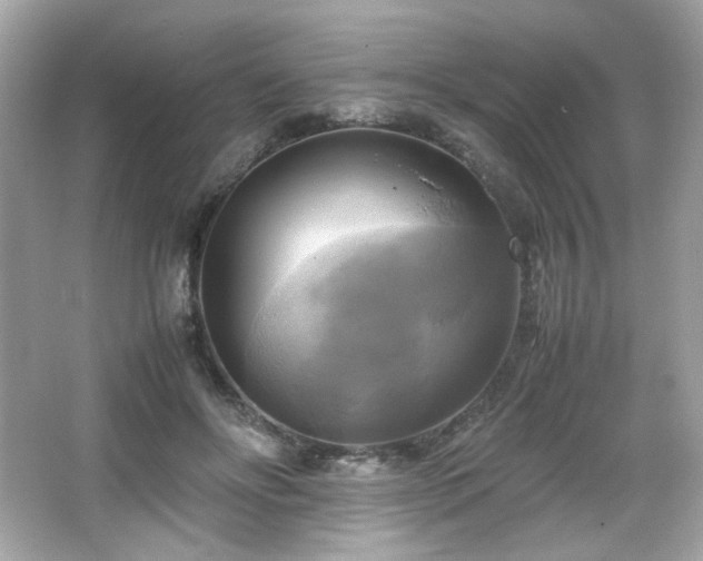 X0000066520502200603171222