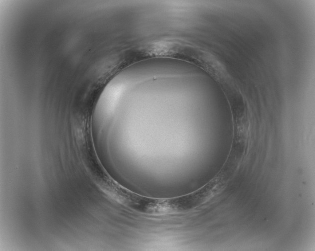 X0000066520503200603171222