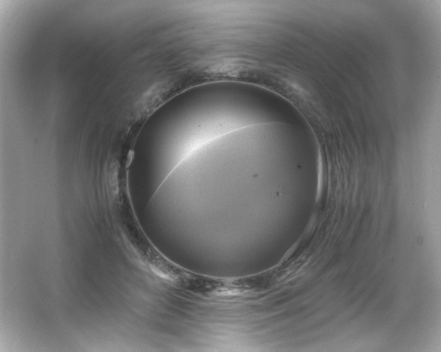 X0000066520504200603171222