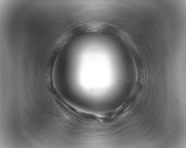 X0000066520505200603171222