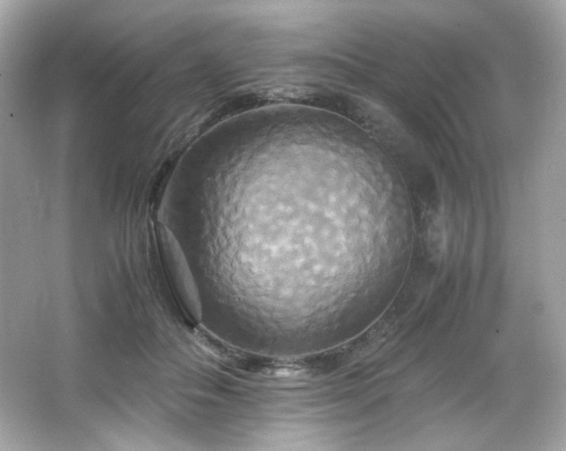 X0000066520506200603171222