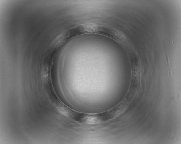 X0000066520507200603171222