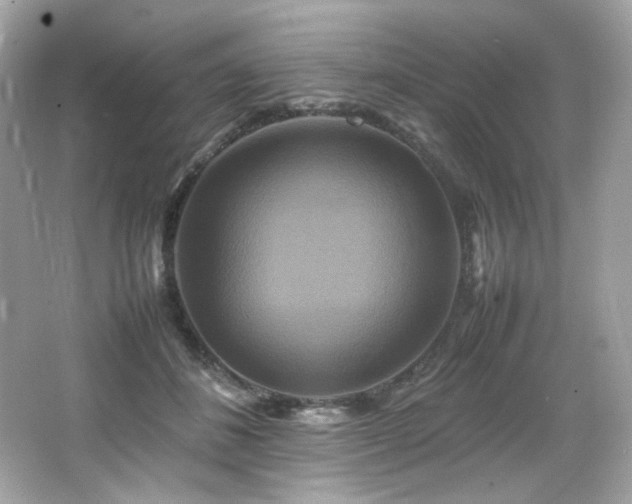 X0000066520508200603171222